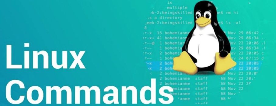 Linux Commands Cheat Sheet 